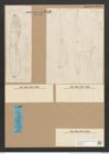 Amphiprora maxima Greg. (de-Toni-Nr.: Genus 29, Species 1308) Zeichnungen Sammlung Grunow Nr. 2519 (NHMW-BOT-W0369667)